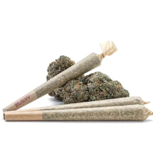 Buy Gorilla Glue Pre-Rolled Joints in Philippines
