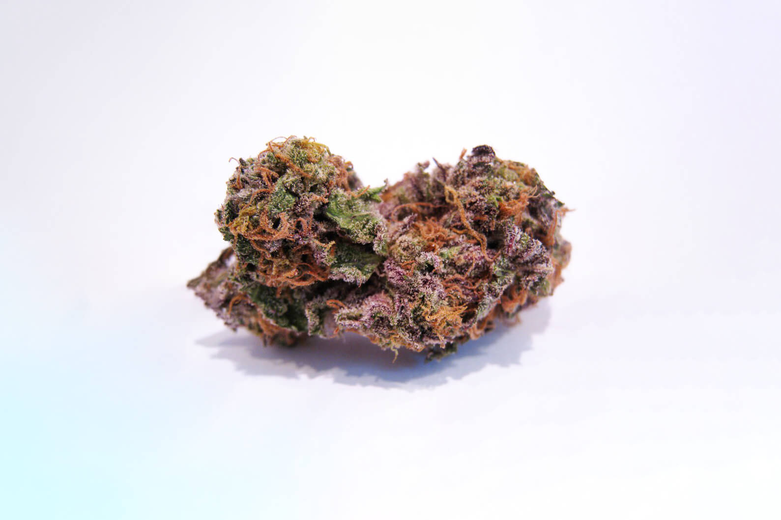 Buy Granddaddy Purple Online in Philippines